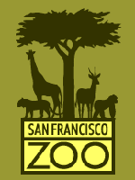 San Francisco Zoo attraction photo