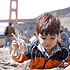 Bay Area Discovery Museum attraction information