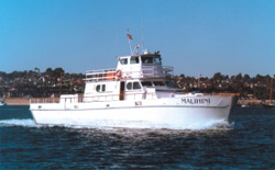 H&M Landing Sportfishing & Whalewatching attraction photo