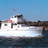H&M Landing Sportfishing & Whalewatching attraction information