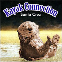Kayak Connection attraction photo