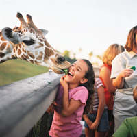 Busch Gardens Tampa Bay attraction photo