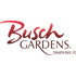 Busch Gardens Tampa Bay attraction information
