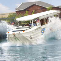 Ride the Ducks of San Francisco attraction information
