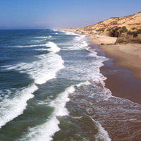 OC Wildlife & Beach Tour Inc. attraction information