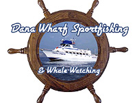 Dana Wharf Sportfishing & Whale Watching attraction photo