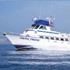 Dana Wharf Sportfishing & Whale Watching attraction information