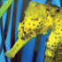 Birch Aquarium at Scripps attraction information