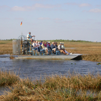 Everglades Day Safari attraction information