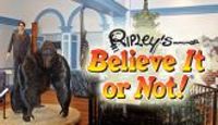 Ripley's Believe It or Not! - Williamsburg attraction photo