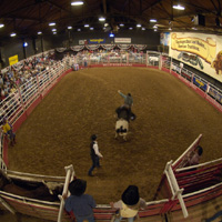 Billy Bob's Texas attraction information